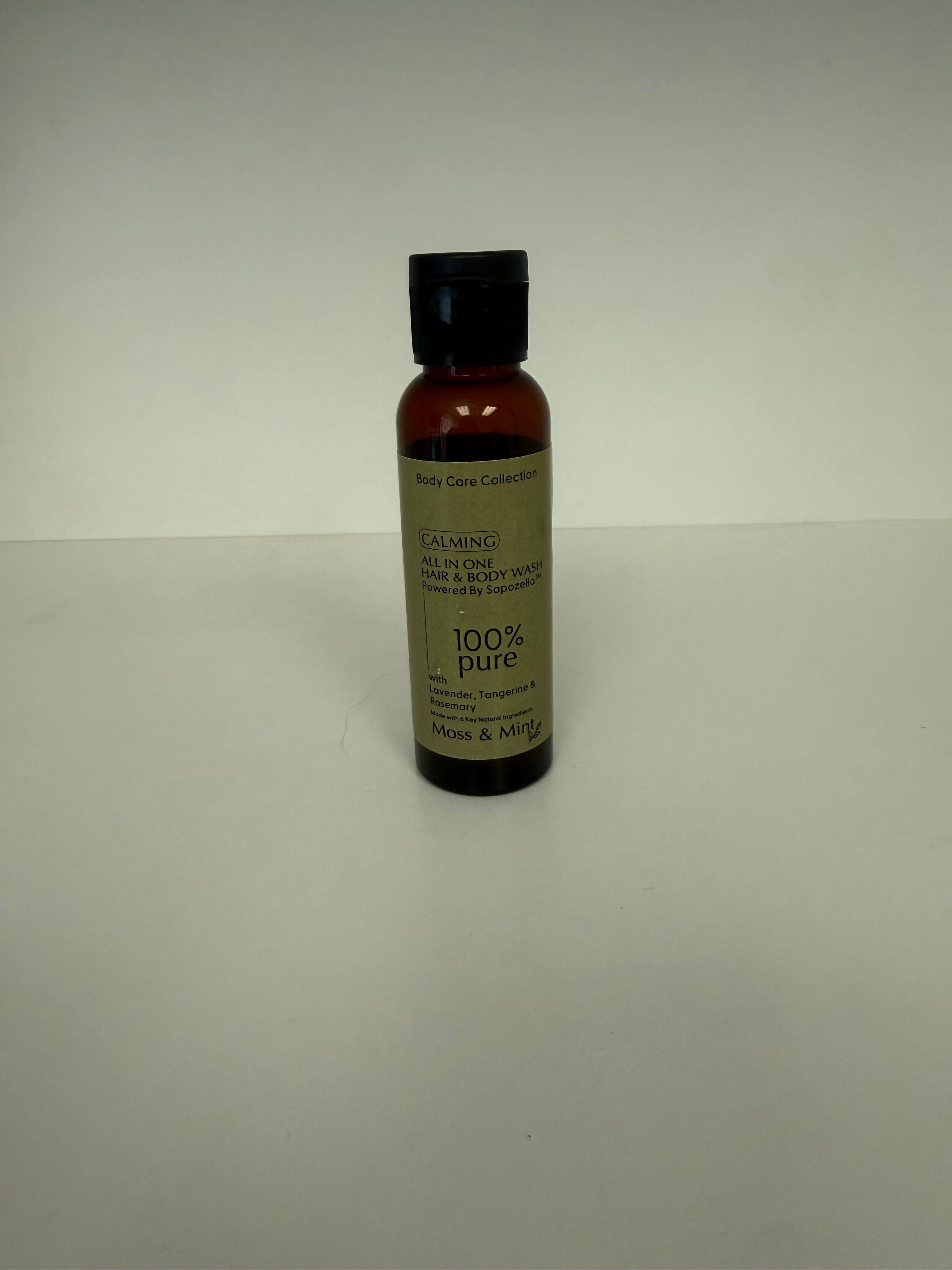 All In One Shampoo and Body Wash